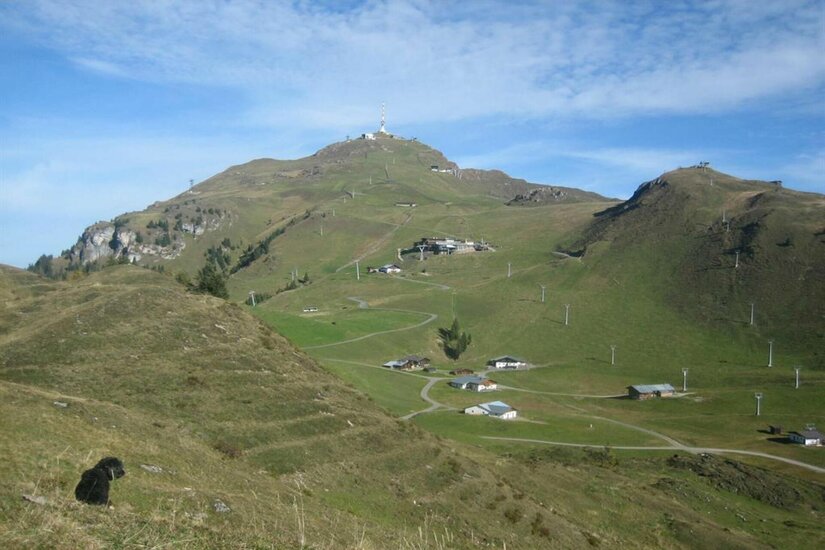 Blick auf das Kitzbüheler Horn mit Sendemast, Almhütten, Liftanlagen und Serpentinenweg im Sommer.