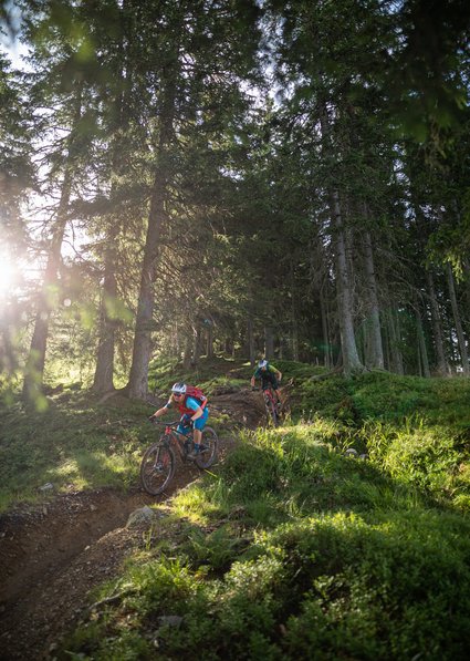 Fleckalm Trail