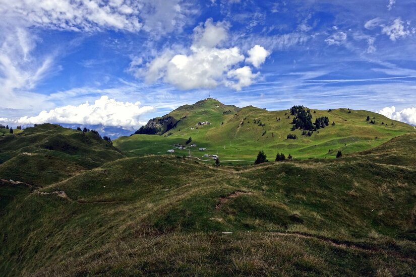 Blick zum Hornköpfl Grüne Hügellandschaft mit Wanderwegen unter blauem Himmel mit weißen Wolken.