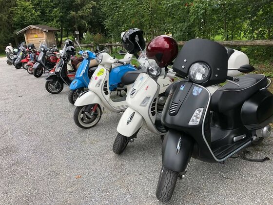 Mehrere bunte Motorroller parken nebeneinander auf einem Schotterplatz vor Bäumen.