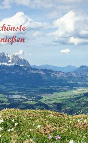 Blaufeld