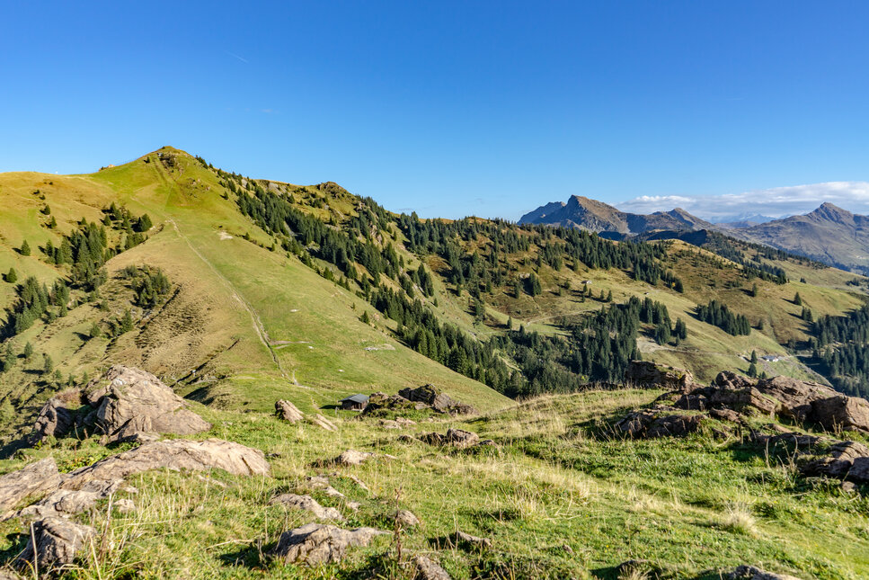 Eine weite Berglandschaft mit sanften Hügeln, bewaldeten Flächen und einem strahlend blauen Himmel im Hintergrund.