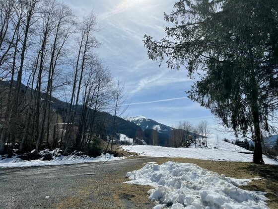 Schwimmbadrunde im Winter Verschneiter Waldrand mit Blick auf schneebedeckte Berge unter blauem Himmel.