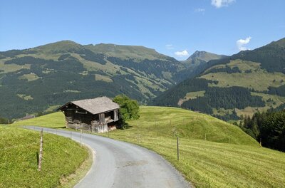 Wanderweg bei der Gauxalm Asphaltierter Bergweg führt an einer alten Holzhütte auf einer grünen Almwiese vorbei, im Hintergrund bewaldete Berge.