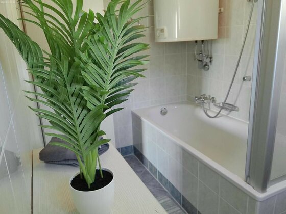 509207945 Ein Badezimmer mit einer Badewanne und einer Dusche. Im Vordergrund steht ein Topf mit einer grünen Pflanze.