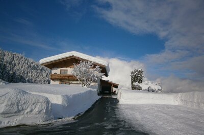 Alpines Wohnhaus mit schneebedecktem Dach und geräumter Zufahrt vor bewaldetem Hang unter blauem Himmel.