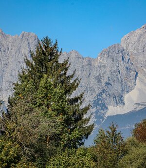 Ausblick Wilder Kaiser