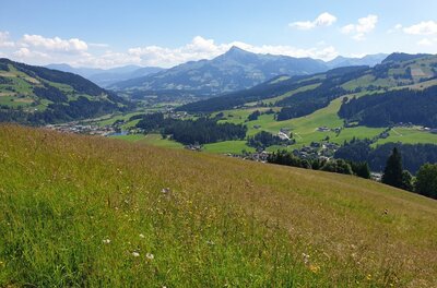 Aussicht von der Kobingerhütte Blick von einer grünen Bergwiese auf ein bewaldetes Tal und markante Berggipfel unter blauem Himmel.