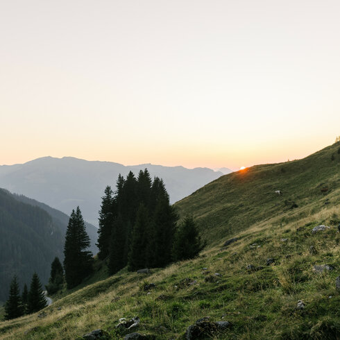 Hiking in the Südberge