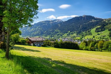 Feld mit Bergblick