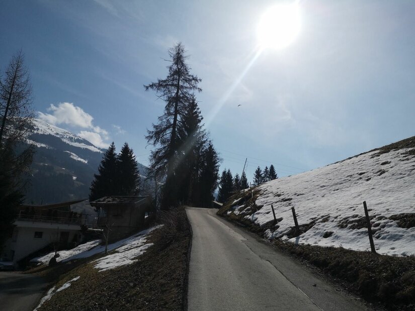 Asphaltierte Bergstraße führt an verschneiten Hängen und Nadelbäumen vorbei unter sonnigem Himmel.