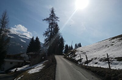 Bergstraße bei Hechenmoos Asphaltierte Bergstraße führt an verschneiten Hängen und Nadelbäumen vorbei unter sonnigem Himmel.