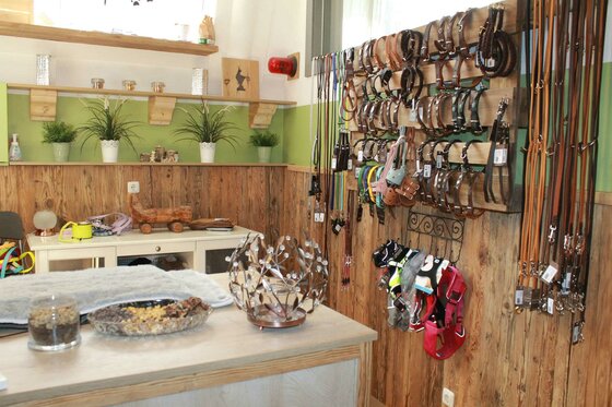 Innenansicht eines Ladengeschäfts mit Hundezubehör wie Halsbändern, Leinen und Geschirren an einer Holzwand.