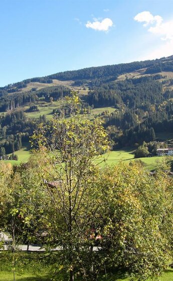 Balkonaussicht_Sommer