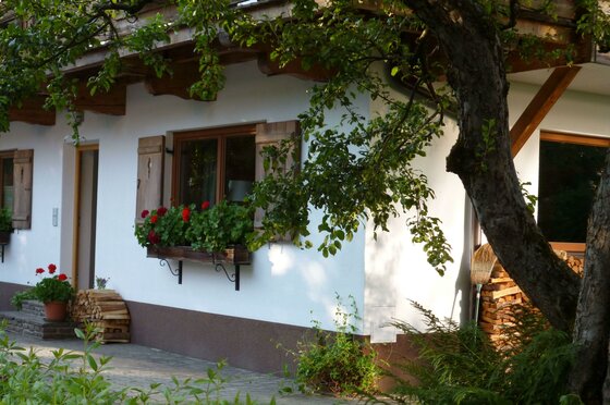 Gartenwohnung Ritter Außenansicht Weiße Hausfassade mit Holzfensterläden, Blumenkästen und einem Baum im Vordergrund.