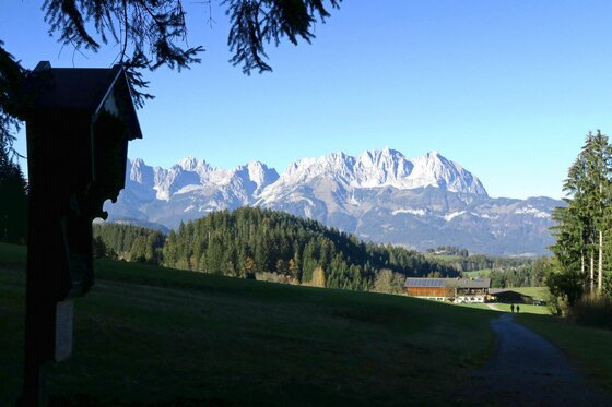 Blick auf den Wilden Kaiser Blick über eine grüne Wiese auf ein bewaldetes Tal und ein markantes Felsmassiv unter blauem Himmel.