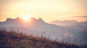 Südberge im Sommer