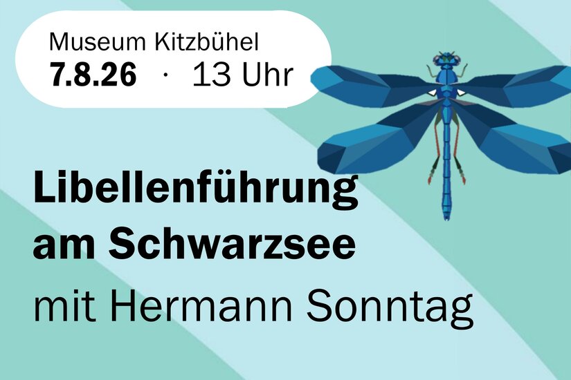 Libellen am See Ein informatives Plakat für eine Libellenführung am Schwarzsee. Die Veranstaltung findet am 7. August 2026 um 13 Uhr im Museum Kitzbühel statt.