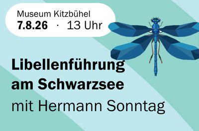 Libellen am See Ein informatives Plakat für eine Libellenführung am Schwarzsee. Die Veranstaltung findet am 7. August 2026 um 13 Uhr im Museum Kitzbühel statt.
