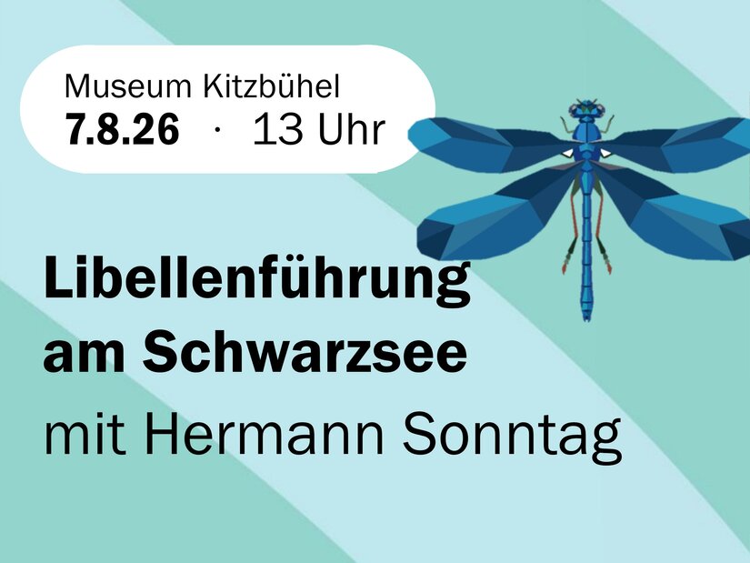 Ein informatives Plakat für eine Libellenführung am Schwarzsee. Die Veranstaltung findet am 7. August 2026 um 13 Uhr im Museum Kitzbühel statt.