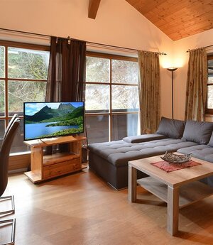 Wohnzimmer mit Schlafsofa