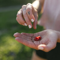 Eine Hand hält in Kitzbühel frische Himbeeren, während die andere Hand sie vorsichtig anhebt.