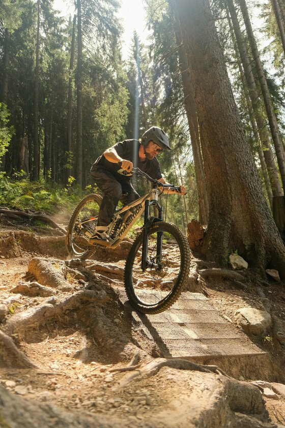 Ein Mountainbiker fährt über eine steile, wurzelige Waldpassage auf einem Trail.