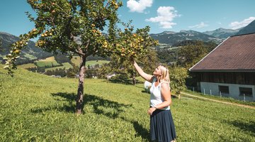 Frau beim Pflücken
