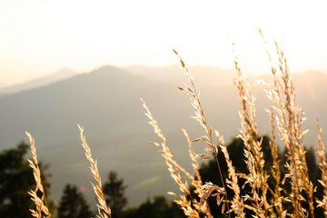 Bergausblick 