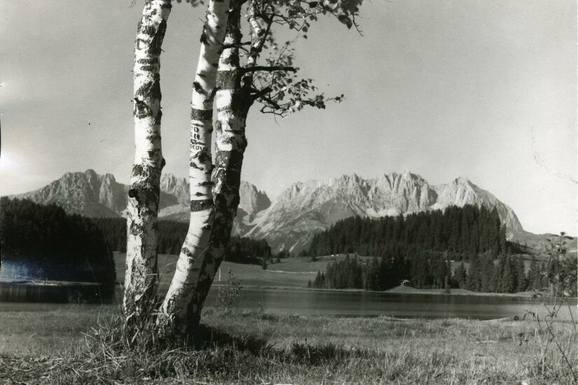 Sonderausstellung Eine malerische Berglandschaft mit einem kleinen Dorf im Vordergrund. Die hohen Berge im Hintergrund sind von grünen Wiesen umgeben.
