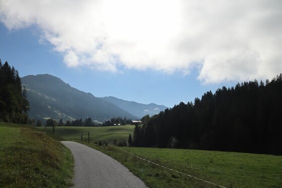 Wanderweg bei Achrain Asphaltierter Weg führt durch grüne Wiesen und Nadelwald vor einer Bergkulisse unter bewölktem Himmel.
