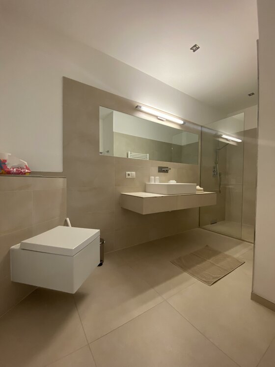 Modernes Badezimmer mit Waschtisch, großem Spiegel, Toilette und ebenerdiger Dusche.