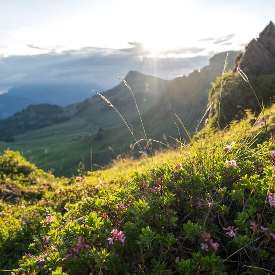 LocalHeroes Südberge in Kitzbühel