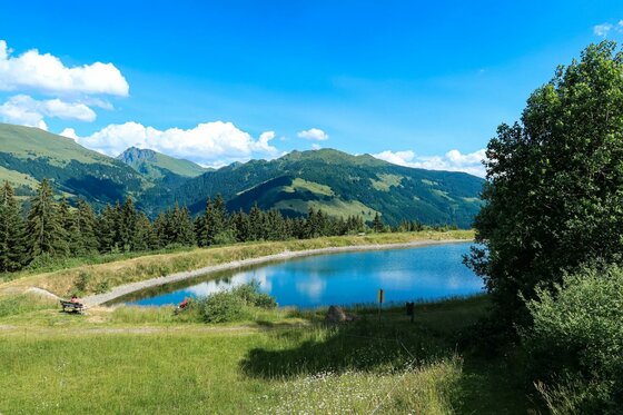 Ein künstlich angelegter Speicherteich vor bewaldeten Bergen unter blauem Himmel.