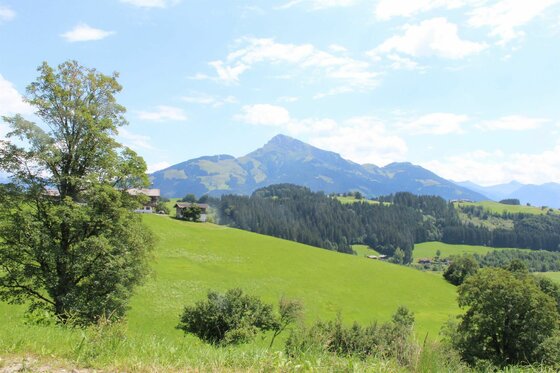 Alpenpanorama mit Bergwiesen Grüne Almwiesen mit Bauernhäusern vor bewaldeten Hügeln und einem markanten Berggipfel unter blauem Himmel.