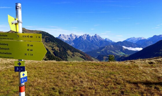 Wegweiser am Gebra Trail Gelbe Wanderwegweiser auf einer Bergwiese vor einem Panorama mit schroffen Berggipfeln unter blauem Himmel.