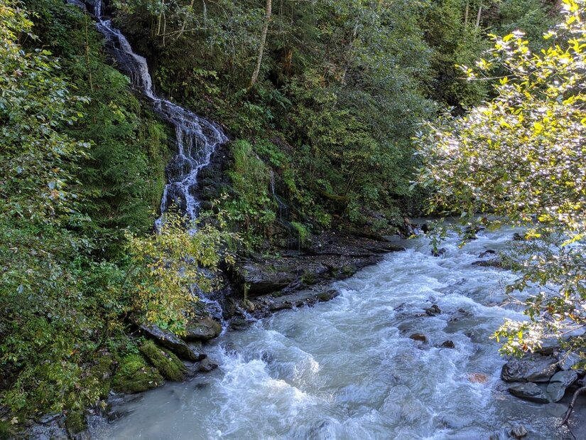 Jochberger Wasserweg Ein kleiner Wasserfall fließt über dunkle Felsen in einen breiten, schäumenden Gebirgsbach im Wald.