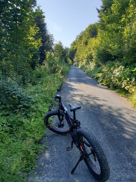 Mountainbike auf Waldweg Ein schwarzes Mountainbike mit breiten Reifen steht auf einem asphaltierten Waldweg.