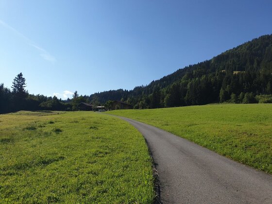 Weg am Obergaisberg Asphaltierter Weg führt durch grüne Wiesen zu einem Holzhaus vor bewaldetem Hang unter blauem Himmel.