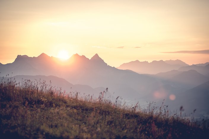 Südberge im Sommer
