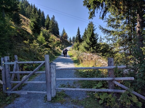 Wanderweg mit Weidetor Ein hölzernes Weidetor an einem geschotterten Wanderweg im Wald mit zwei Personen im Hintergrund.