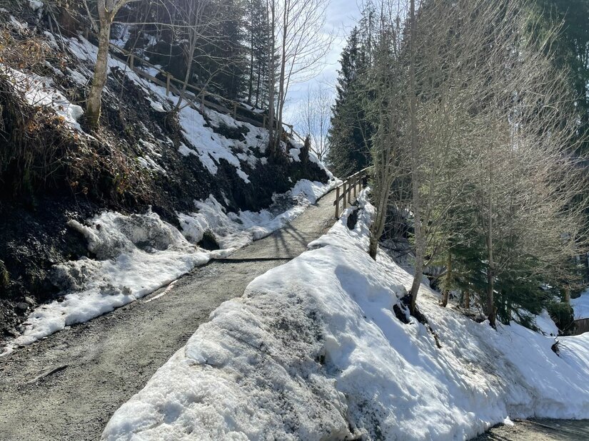 Winterlicher Wanderweg am Hang Ein schmaler, schneebedeckter Wanderweg führt steil bergauf durch einen Nadelwald.