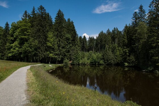 Reither Trail am See Schotterweg führt an einem kleinen See vorbei, der von dichtem Nadelwald umgeben ist.