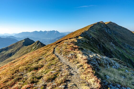 Gipfelwanderung Gamsroas Schmaler Wanderpfad auf einem grasbewachsenen Bergrücken unter blauem Himmel.