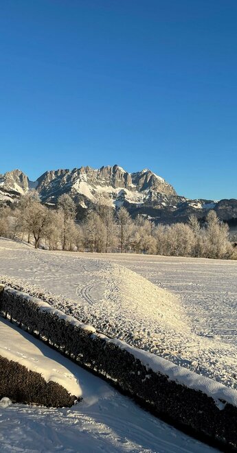 Aussicht Wilder Kaiser