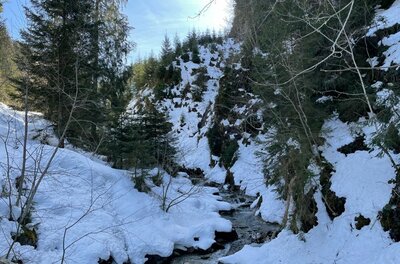 Verschneiter Bachlauf an der Pocherrunde Ein schmaler Bachlauf fließt durch eine verschneite Waldschlucht mit Nadelbäumen.