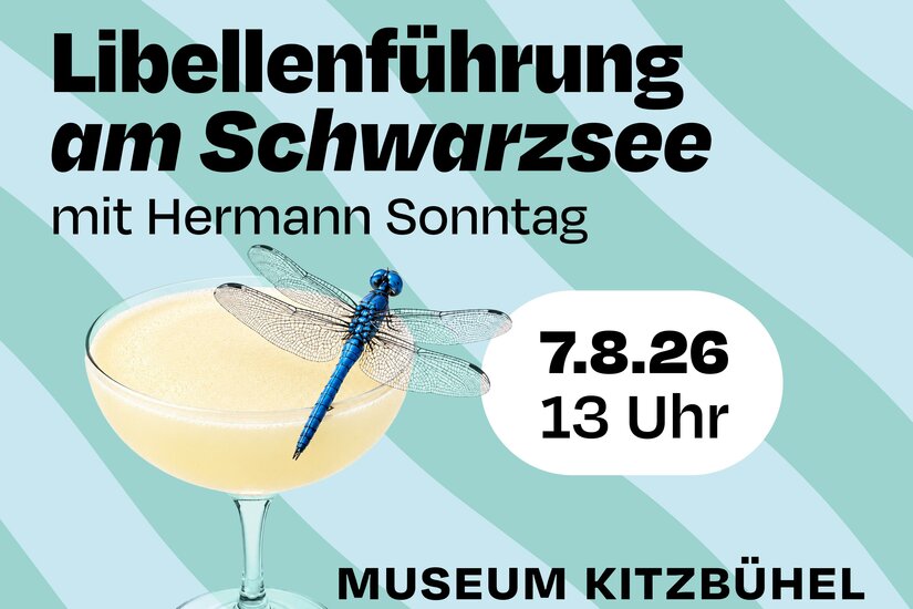 Ein Poster für eine Veranstaltung im Museum Kitzbühel. Es zeigt ein Getränk mit einer Libelle und Informationen zur Führung am Schwarzsee.