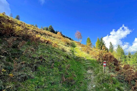 Höhenweg Reith Bergpfad Schmaler Wiesenpfad an einem steilen Hang mit rot-weißer Wegmarkierung unter blauem Himmel.