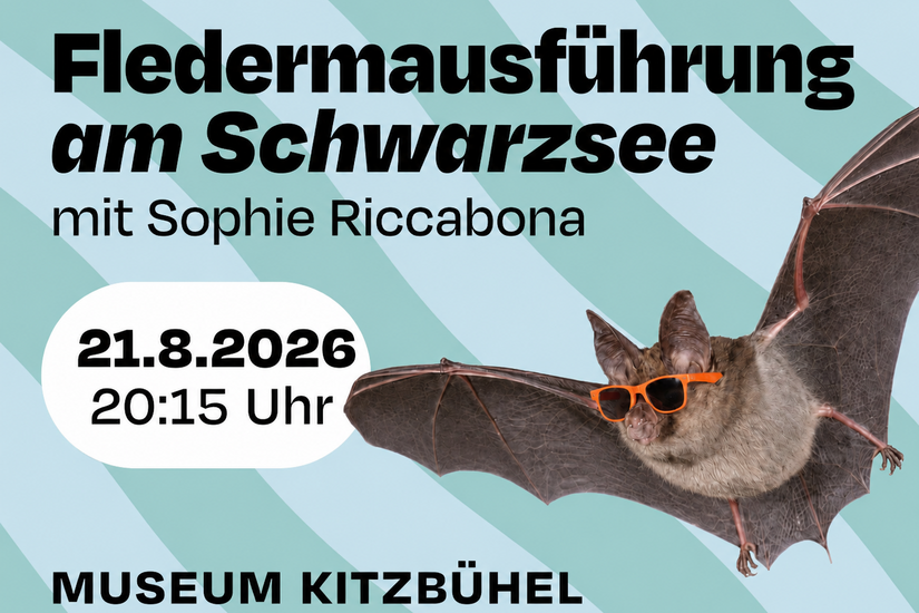 Grafik mit einer Fledermaus mit Sonnenbrille und Text zur Fledermausführung am Schwarzsee.