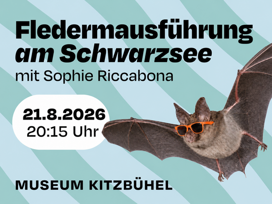 Grafik mit einer Fledermaus mit Sonnenbrille und Text zur Fledermausführung am Schwarzsee.